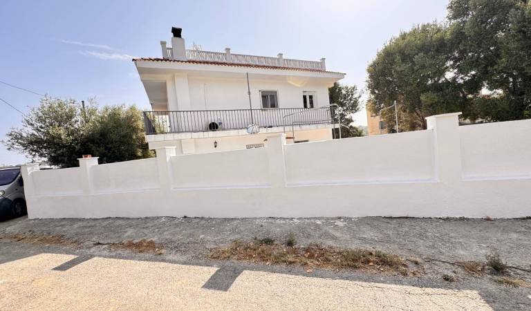 WhatsApp Image 2025-11-05 at 14.06.08 (2)